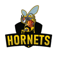 Logo Hornets