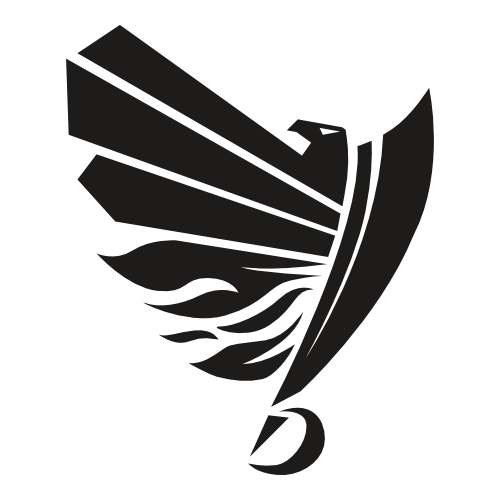 Raiders Logo